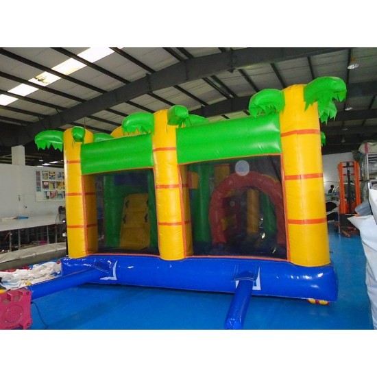 Lion Bouncy Castle Combo