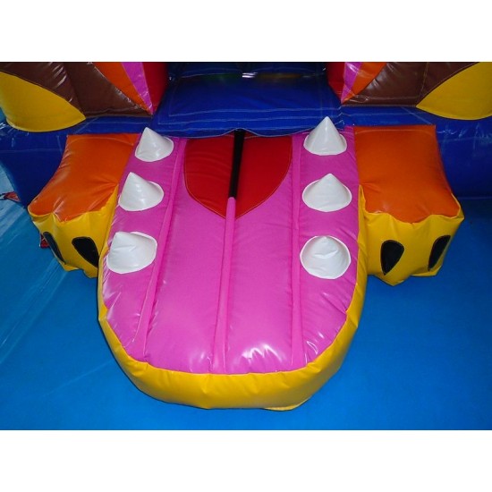 Lion Bouncy Castle Combo