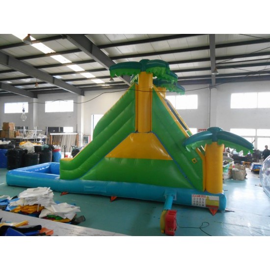 Inflatable Bouncy Castle With Water Slide