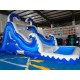 Giant Inflatable Water Slide